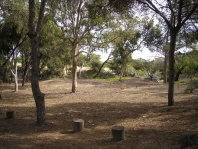 Guardamar del Segura - Parque de Alfonso XIII